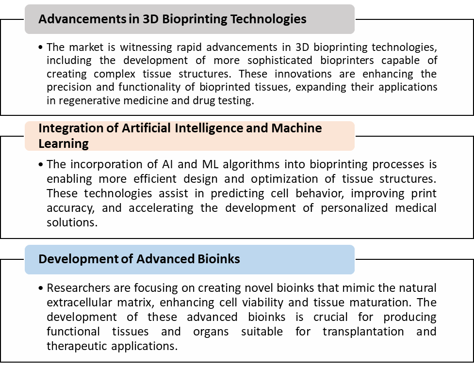 Emerging Trends and Strategic Opportunities: