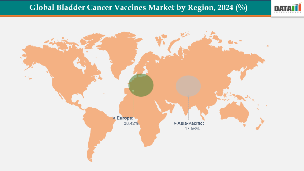 Bladder Cancer Vaccines Market - Geographical Analysis, By Region