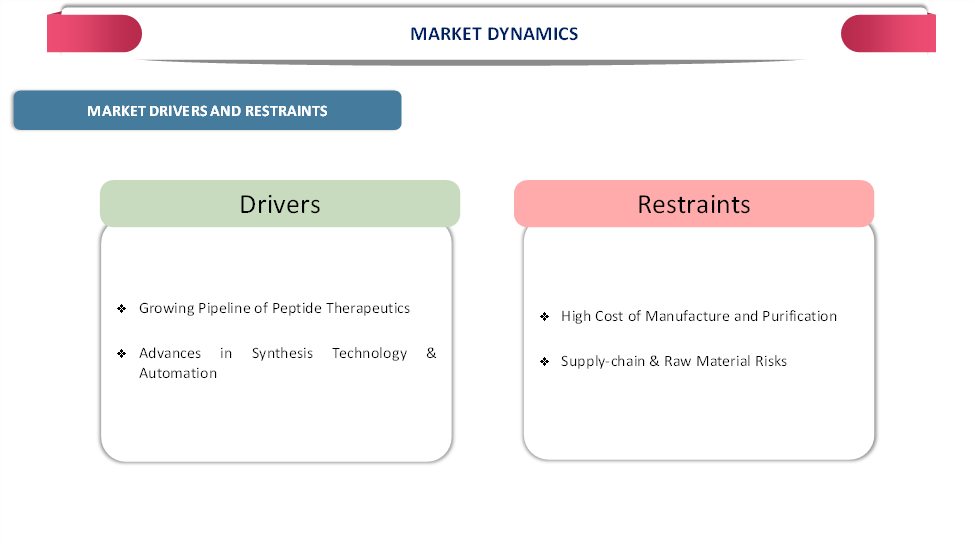 Global Peptide Synthesis Market Dynamics