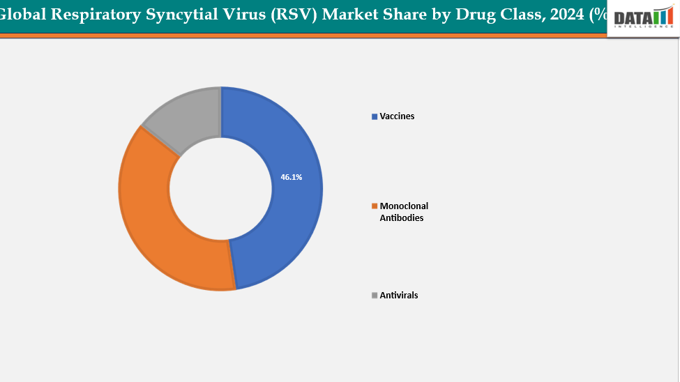 Respiratory Syncytial Virus (RSV) Market Segmentation Analysis By Product Type