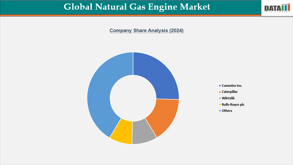 Global Natural Gas Engine Market, Company Share Analysis (2024)