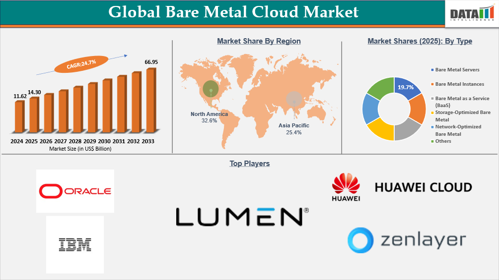 Global Bare Metal Cloud Market Overview