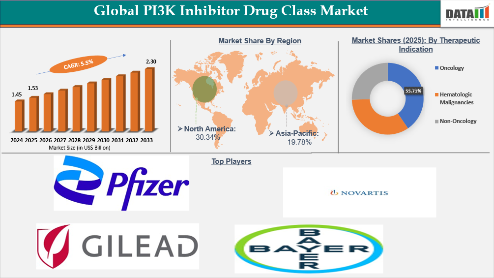 Global PI3K Inhibitor Drug Class Market | datamintelligence.com
