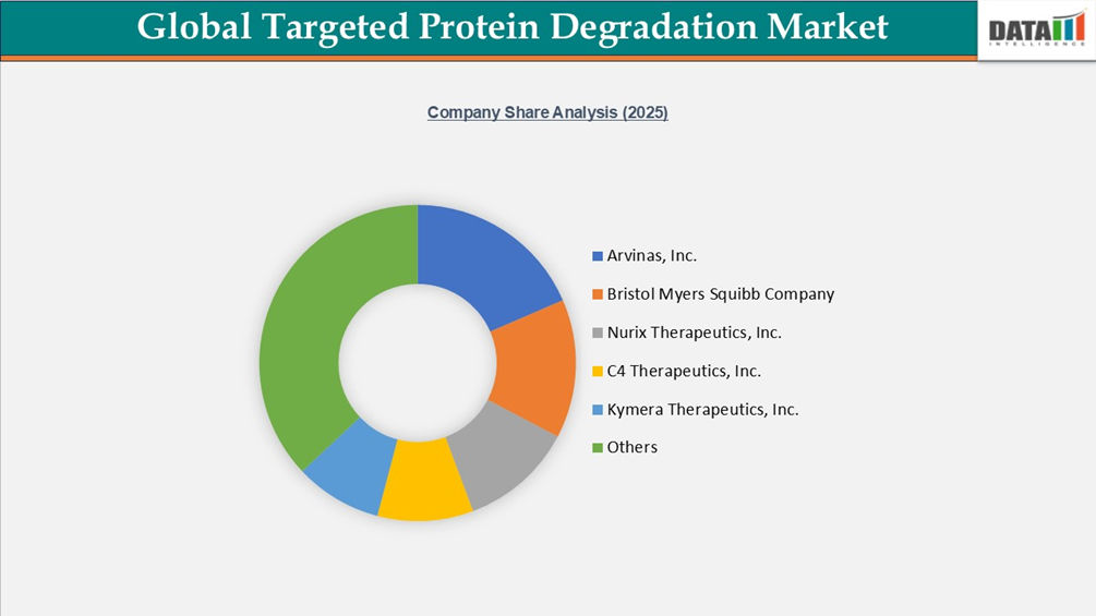 Global Targeted Protein Degradation Market Company Share Analysis(2025)| datamintelligence.com