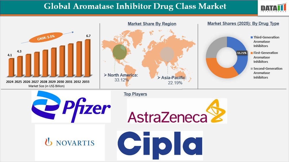 Global Aromatase Inhibitor Drug Class Market | datamintelligence.com