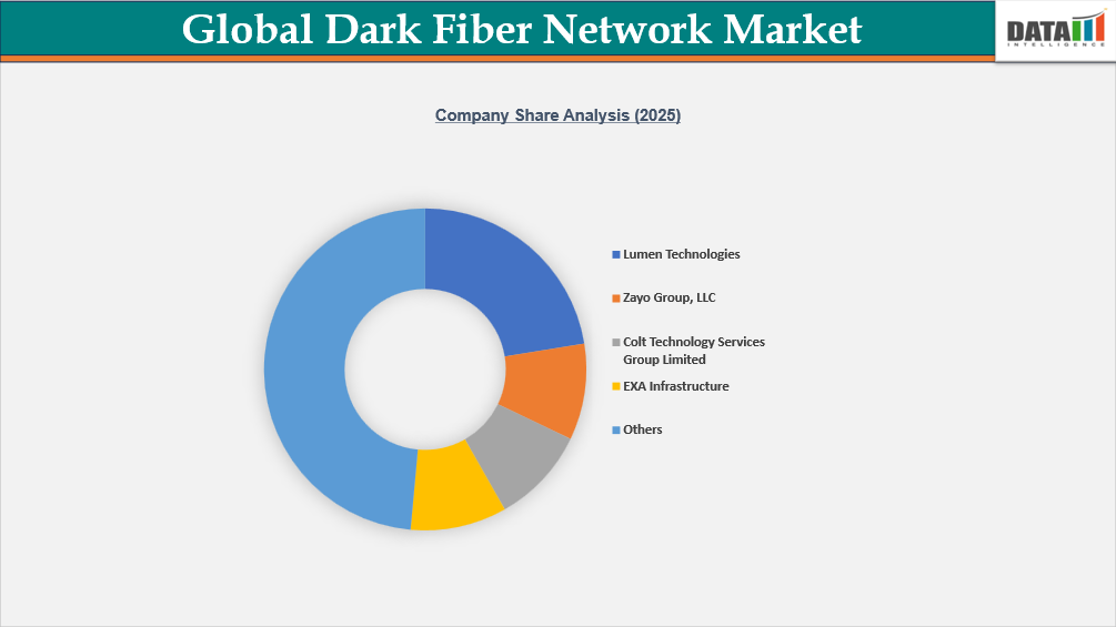 Global Dark Fiber Network Market Company Share Analysis (2025)