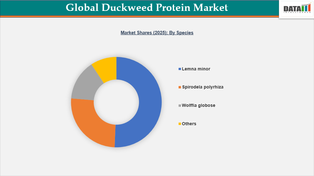 Global Duckweed Protein Market Shares 2025: By Species