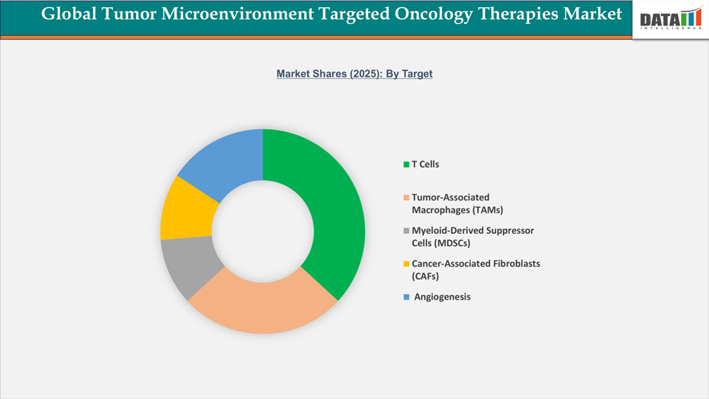Tumor Microenvironment Targeted Oncology Therapies Market Shares 2025: By Target