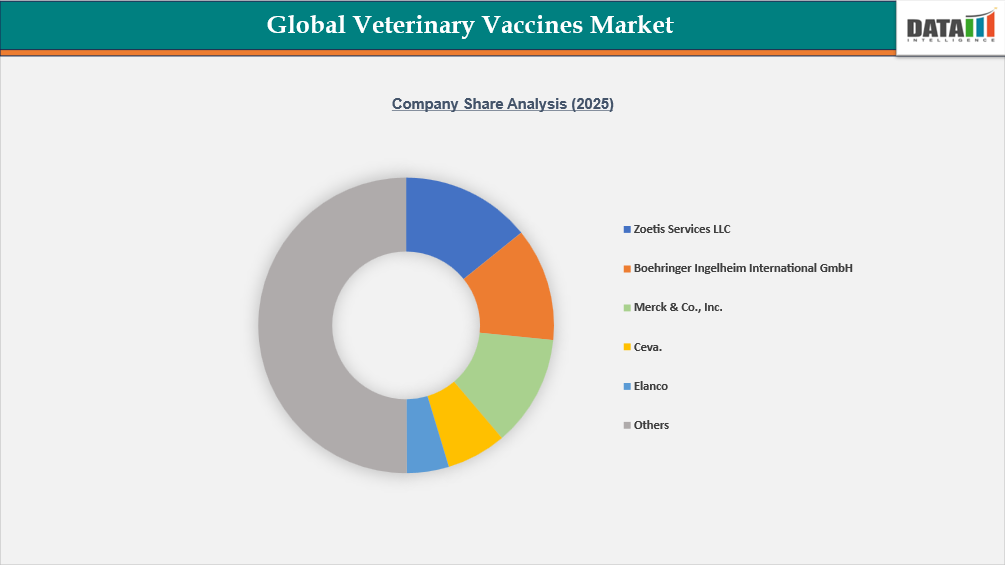 Company Share Analysis (2025)