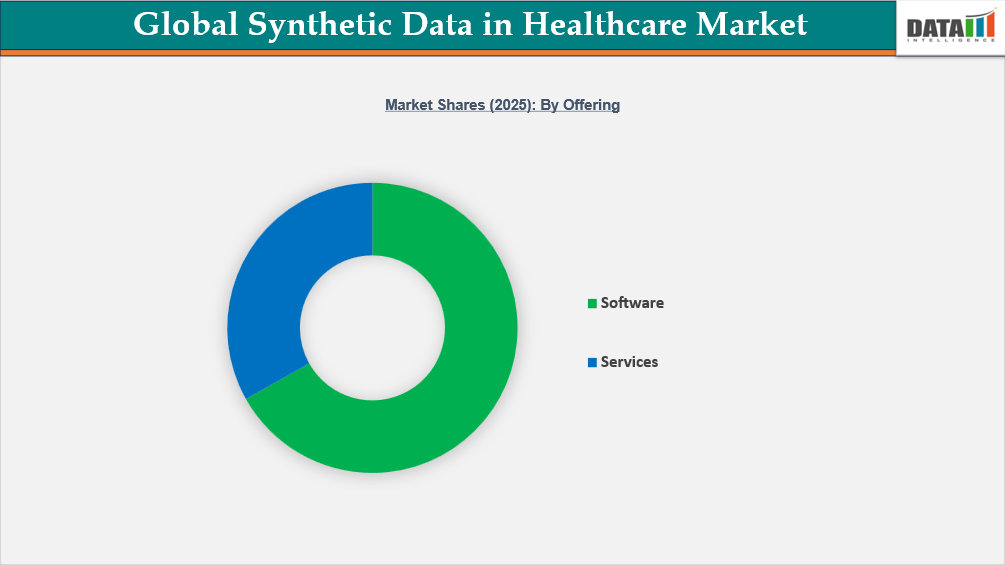 Synthetic Data in Healthcare Market Shares (2025): By Offering
