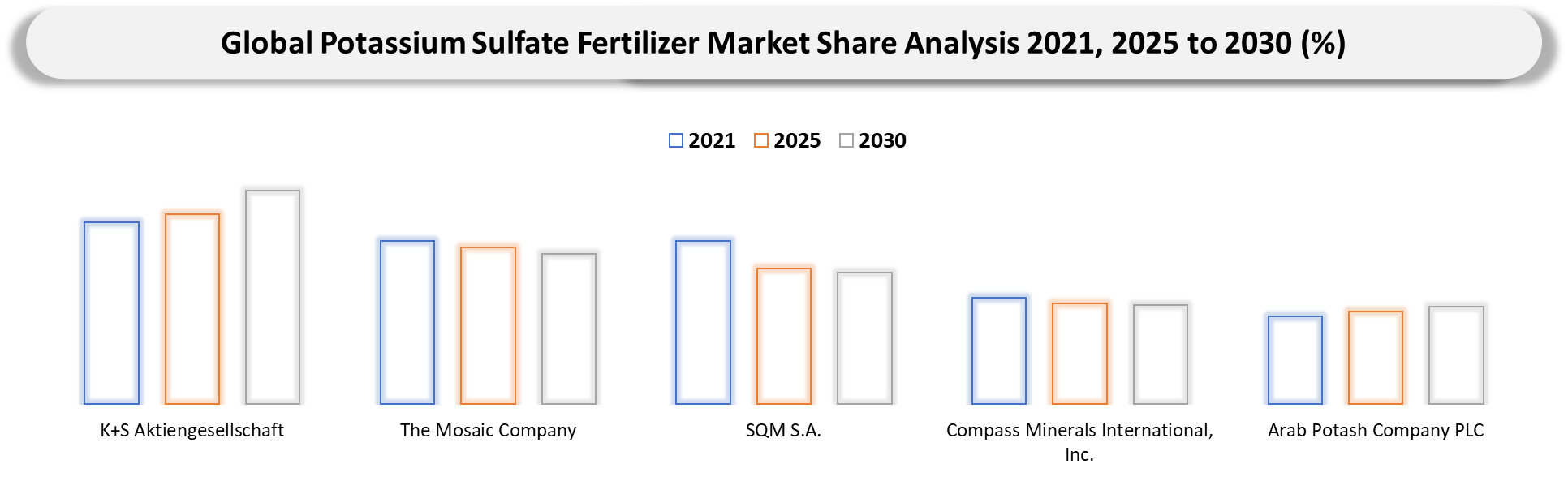 Potassium Sulfate Fertilizer Market Company Share Analysis