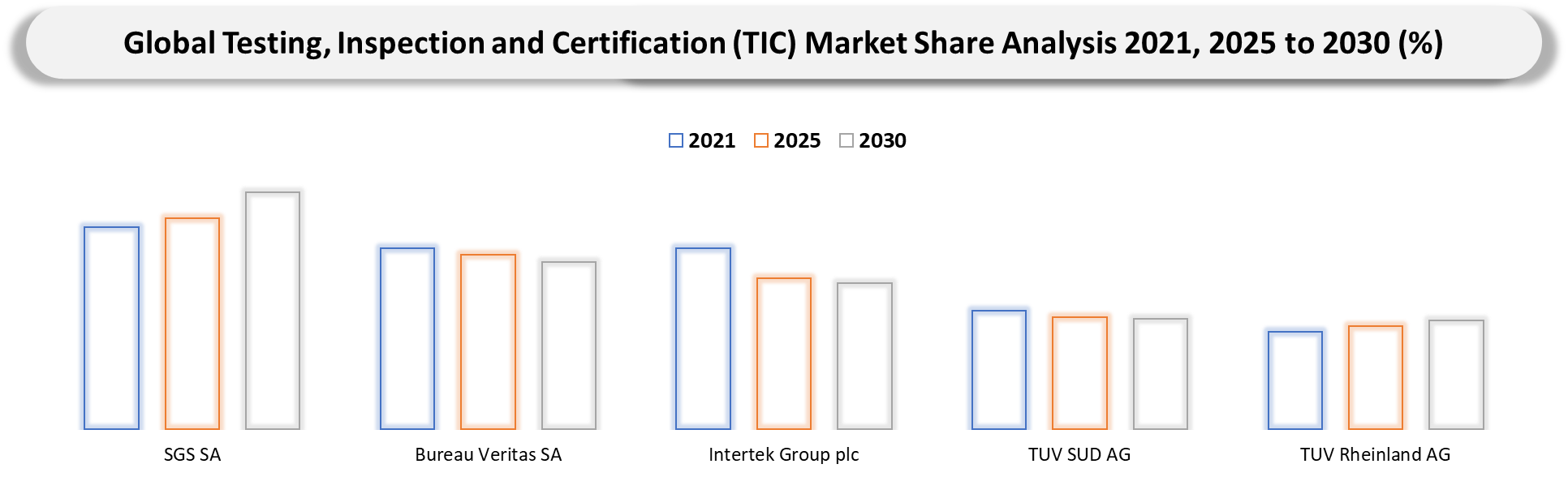 Testing, Inspection and Certification (TIC) Market Company Market Share Analysis