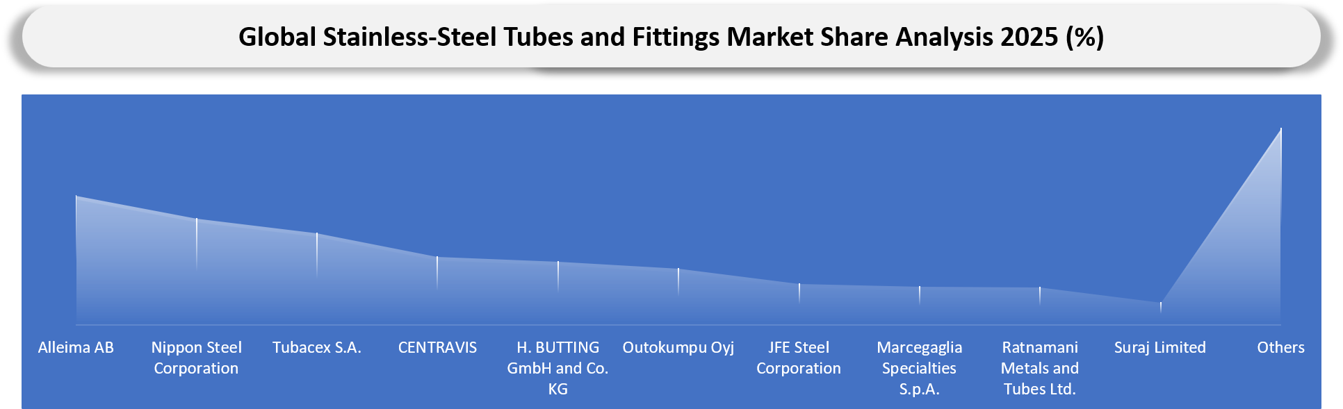Stainless-Steel Tubes and Fittings Market Companies Share analysis