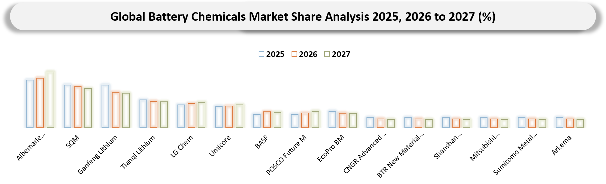 Battery Chemicals Market Company Share Analysis