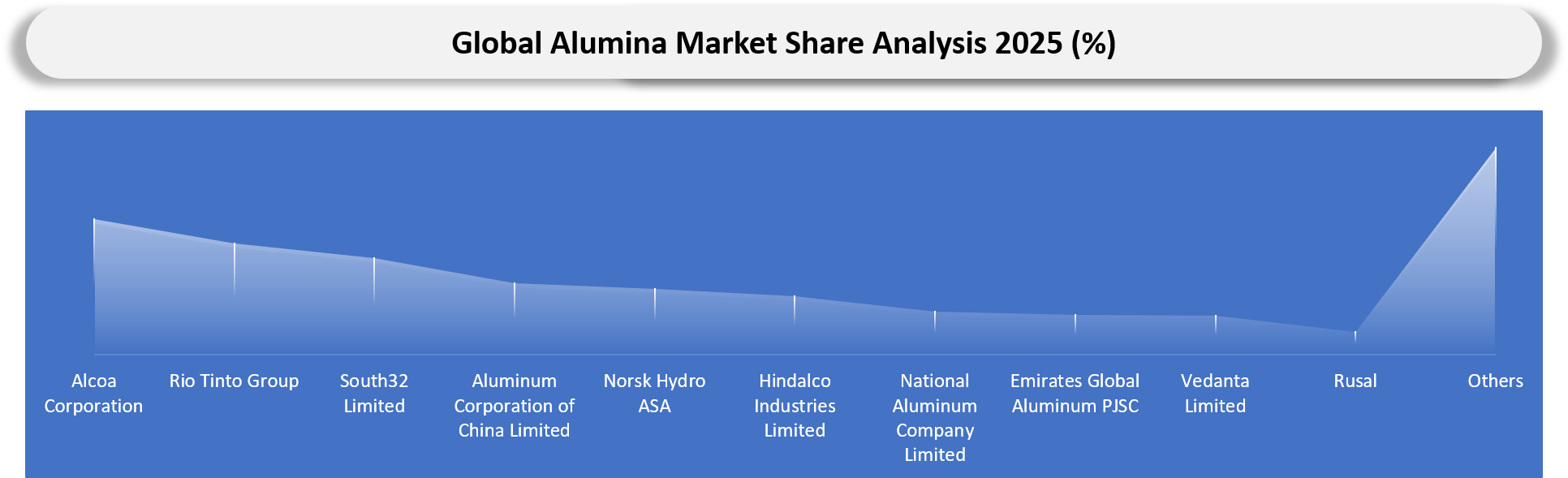 Alumina Market Company Share analysis