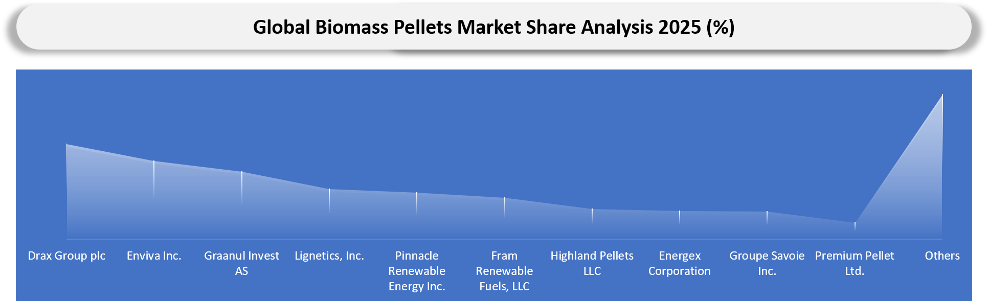 Biomass Pellets Market Company share analysis