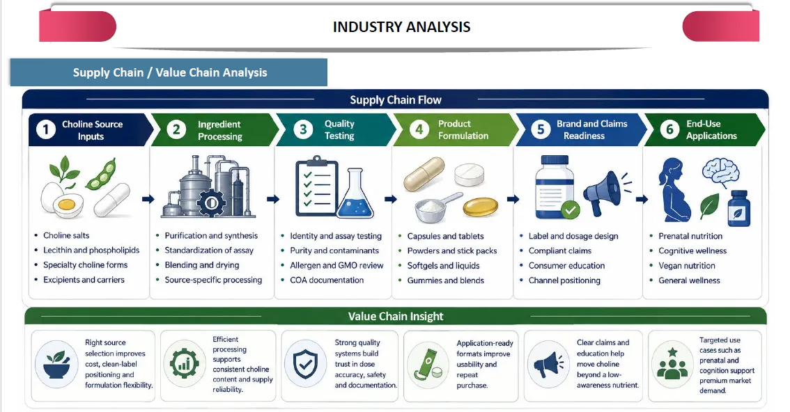 United States Choline Supplements Market Supply Chain Analysis