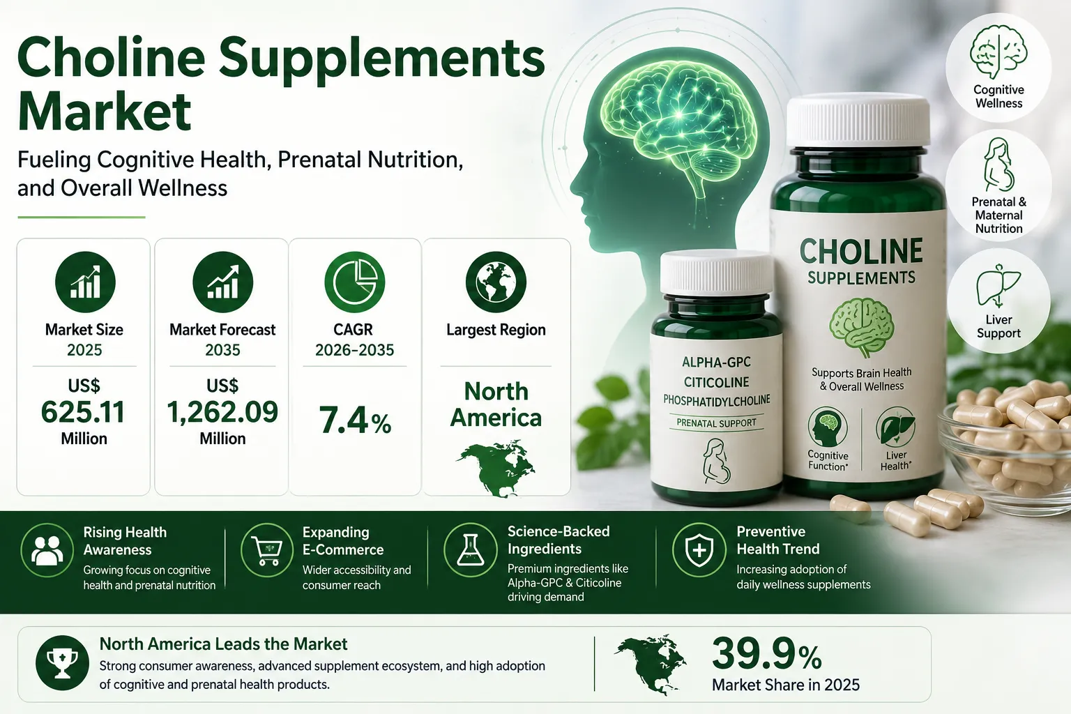 Global Choline Supplements Market Report 2035